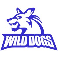 KAF Wild Dogs Novi Sad logo, KAF Wild Dogs Novi Sad contact details