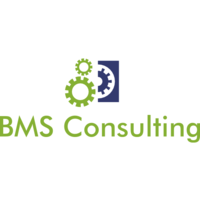 BMS Consulting logo, BMS Consulting contact details