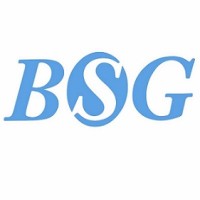 BSG Group logo, BSG Group contact details