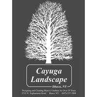 Cayuga Landscape Company Inc logo, Cayuga Landscape Company Inc contact details