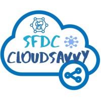 Cloud Savvy Consulting logo, Cloud Savvy Consulting contact details