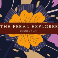 The Feral Explorer logo, The Feral Explorer contact details