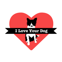 I Love Your Dog logo, I Love Your Dog contact details