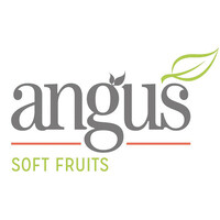 Angus Soft Fruits Ltd logo, Angus Soft Fruits Ltd contact details