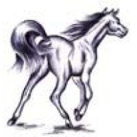 Equine Business Taxes logo, Equine Business Taxes contact details