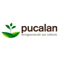 Empresa de Servicios Pucalan Ltda logo, Empresa de Servicios Pucalan Ltda contact details