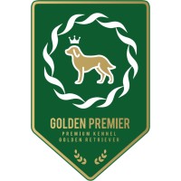 Canil Golden Premier - Filhotes de Golden Retriever logo, Canil Golden Premier - Filhotes de Golden Retriever contact details