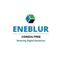 Eneblur Consulting logo, Eneblur Consulting contact details