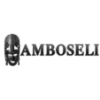 AmboseliHR logo, AmboseliHR contact details