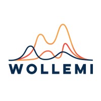 Wollemi.io logo, Wollemi.io contact details