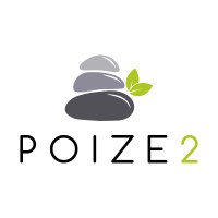 Poize2 Consulting logo, Poize2 Consulting contact details