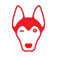 Red Dog WiFi Solutions logo, Red Dog WiFi Solutions contact details