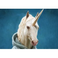 UnicornSourcer.com logo, UnicornSourcer.com contact details