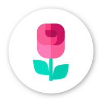 SendFlowers.io logo, SendFlowers.io contact details