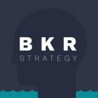 BKR Strategy Group logo, BKR Strategy Group contact details