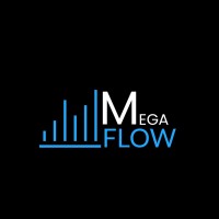 MegaFlow Technologies logo, MegaFlow Technologies contact details