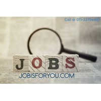 Jobs in Delhi NCR logo, Jobs in Delhi NCR contact details