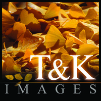 T&K Images  - Fine Art Photography logo, T&K Images  - Fine Art Photography contact details