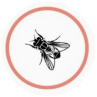 UNA MOSCA EN MI SOPA logo, UNA MOSCA EN MI SOPA contact details