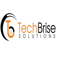 TechBrise Solutions Private Limited logo, TechBrise Solutions Private Limited contact details