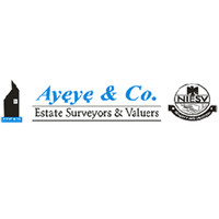 AYEYE & CO logo, AYEYE & CO contact details