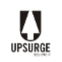 Upsurge Systems Believe IT logo, Upsurge Systems Believe IT contact details