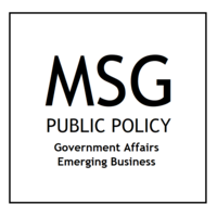 MSGlobal Partners - Public Policy logo, MSGlobal Partners - Public Policy contact details