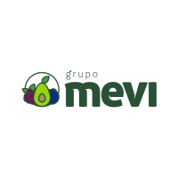 Grupo Mevi logo, Grupo Mevi contact details