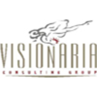 Visionaria Consulting Group Ltda. logo, Visionaria Consulting Group Ltda. contact details