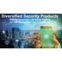 Diversified Security Products - DSP logo, Diversified Security Products - DSP contact details