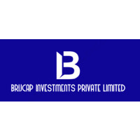 Brijcap Investments Private Limited logo, Brijcap Investments Private Limited contact details