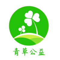 青草公益 Clover Youth logo, 青草公益 Clover Youth contact details