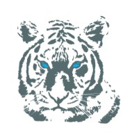 Tiger Design - Leading Provider of IoT Hardware & Software logo, Tiger Design - Leading Provider of IoT Hardware & Software contact details