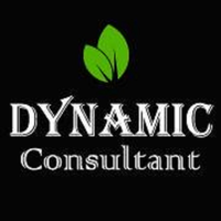 Dynamic Consultant Pvt Ltd logo, Dynamic Consultant Pvt Ltd contact details