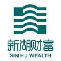 新湖财富投资管理有限公司 logo, 新湖财富投资管理有限公司 contact details