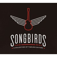 SONGBIRDS FOUNDATION INC logo, SONGBIRDS FOUNDATION INC contact details