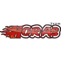 Team Horas USU logo, Team Horas USU contact details