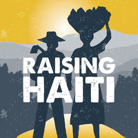 Raising Haiti Foundation logo, Raising Haiti Foundation contact details