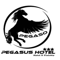 Pegasus hotel logo, Pegasus hotel contact details