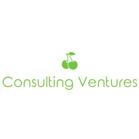 Consulting Ventures logo, Consulting Ventures contact details