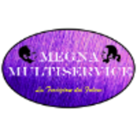 Megna Multiservice S.r.l. logo, Megna Multiservice S.r.l. contact details