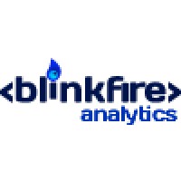 Blinkfire Analytics, Inc. logo, Blinkfire Analytics, Inc. contact details