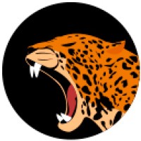 Jaguar-Team logo, Jaguar-Team contact details