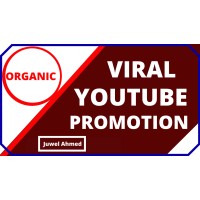 YouTube-SEO-Expert logo, YouTube-SEO-Expert contact details