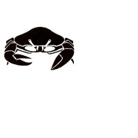 Islay Crab Exports Ltd logo, Islay Crab Exports Ltd contact details