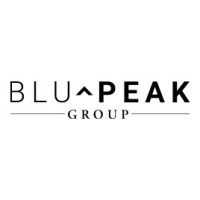 BluPeak Group logo, BluPeak Group contact details