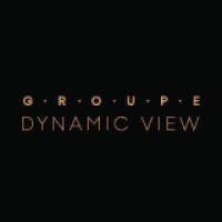 Dynamic View logo, Dynamic View contact details