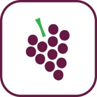 VinoWine logo, VinoWine contact details