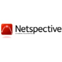 Netspective Communications LLC logo, Netspective Communications LLC contact details