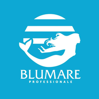 Blumare Pro logo, Blumare Pro contact details